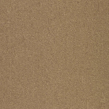 Patcraft Color Your World Color Scale Carpet