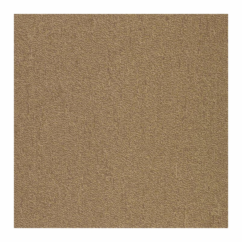 Patcraft Color Your World Color Scale Carpet