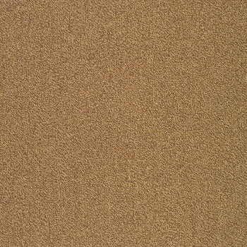 Patcraft Color Your World Color Scheme Carpet