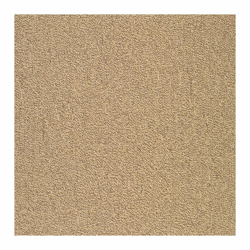 Patcraft Color Your World Color Theory Carpet