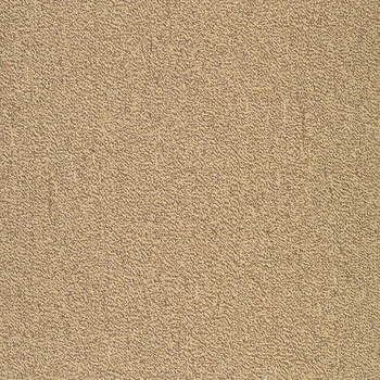 Patcraft Color Your World Color Theory Carpet Tile