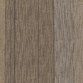 Patcraft Easy On The Eyes Open Sesame Carpet Tile