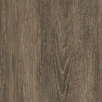 Patcraft Enrich Comfort