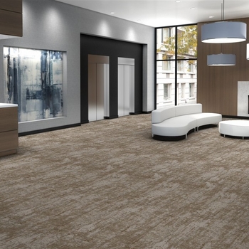 Patcraft Etched Earth Hue