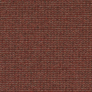 Patcraft Famous Last Words Cut The Red Wire Carpet