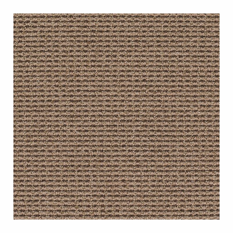 Patcraft Famous Last Words Does Your Dog Bite? Carpet