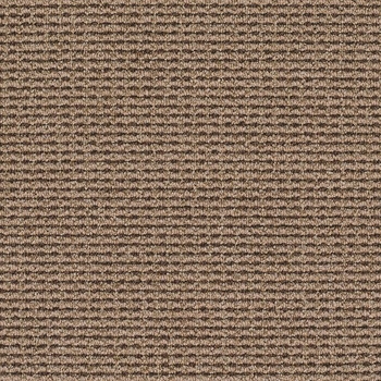 Patcraft Famous Last Words Does Your Dog Bite? Carpet