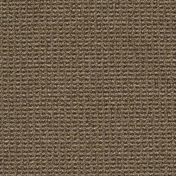 Patcraft Famous Last Words It's Just The Wind Carpet