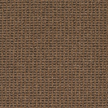 Patcraft Famous Last Words Look No Hands Carpet