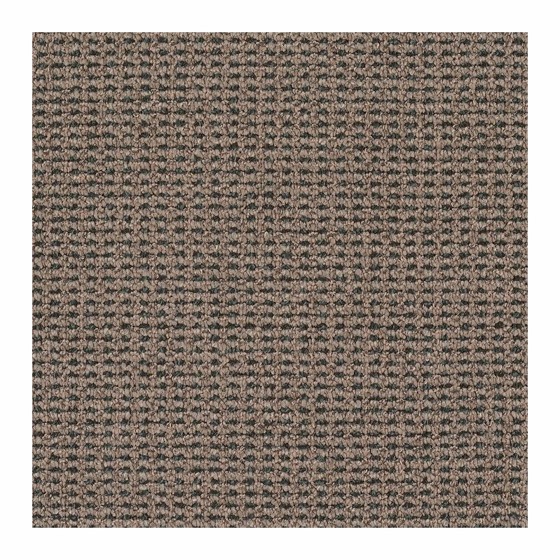 Patcraft Famous Last Words No Problem Carpet