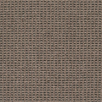 Patcraft Famous Last Words No Problem Carpet
