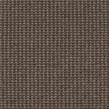 Patcraft Famous Last Words Results May Vary Carpet