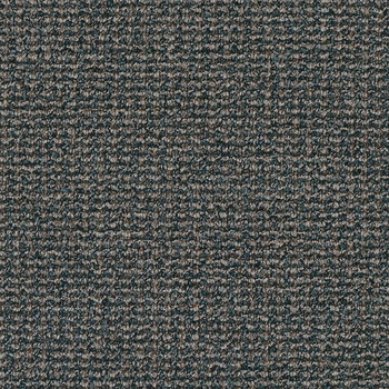 Patcraft Famous Last Words This Won't Hurt Carpet