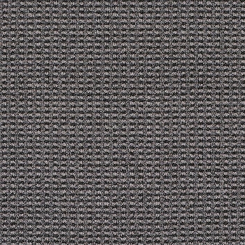 Patcraft Famous Last Words What Could Go Wrong Carpet