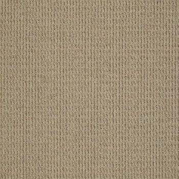 Patcraft Gait Amble Carpet