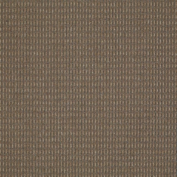 Patcraft Gait Cantor Carpet