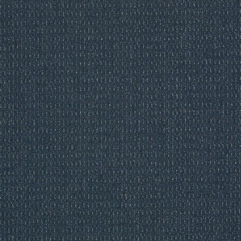 Patcraft Gait Cruise Carpet