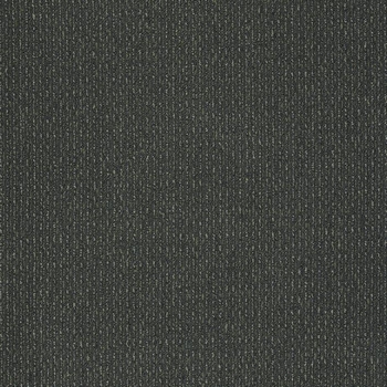 Patcraft Gait Gallop Carpet