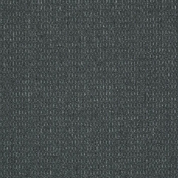Patcraft Gait March Carpet