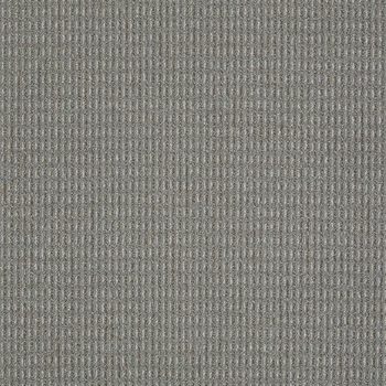 Patcraft Gait Parade Carpet