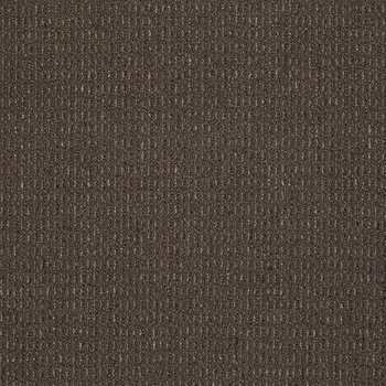 Patcraft Gait Saunter Carpet