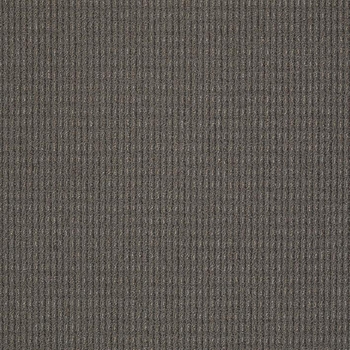 Patcraft Gait Stroll Carpet