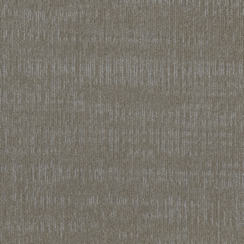 Patcraft Graphite Sand
