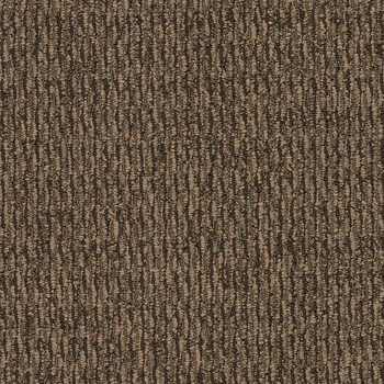 Patcraft Headlines II 7 Olympic Golds Carpet