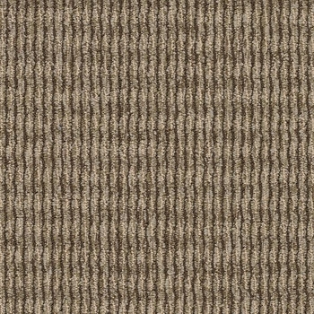 Patcraft Headlines II Armstrong Again Carpet