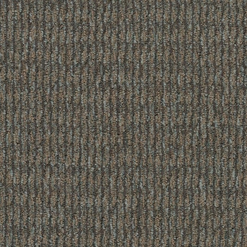 Patcraft Headlines II Genome Solved Carpet