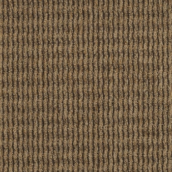 Patcraft Headlines II Killer Bees Here Carpet