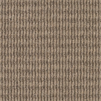 Patcraft Headlines II Millions Grope In The Dark Carpet