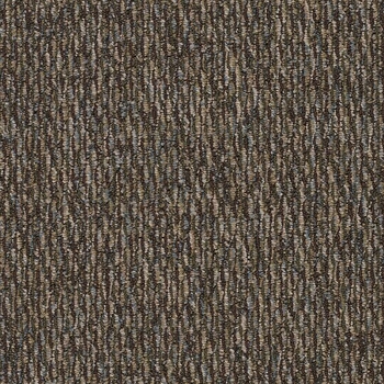 Patcraft Headlines II Patron Saint of TV Carpet