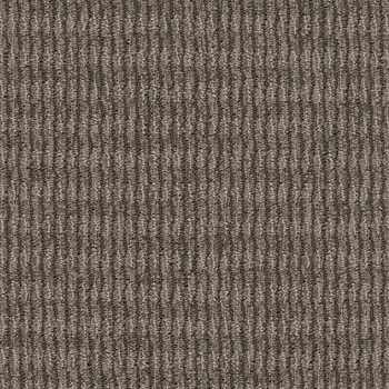 Patcraft Headlines II Titanic Found Carpet