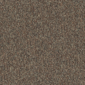 Patcraft Homeroom II V3 Ecoworx Textbook