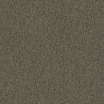 Patcraft Homeroom II V3 Ultraloc Quad