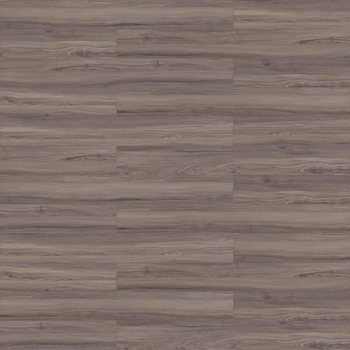 Patcraft Longitude Anise