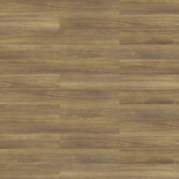 Patcraft Longitude Morel