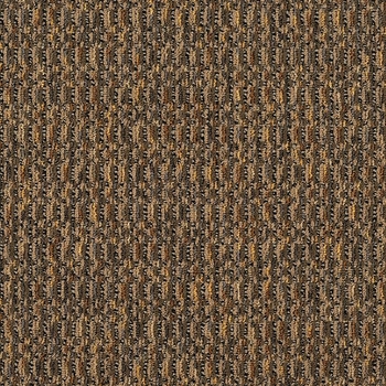 Patcraft Night Moves Lions Tigers & Bears Carpet