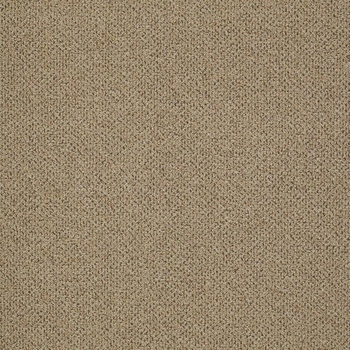 Patcraft Pace Amble Carpet