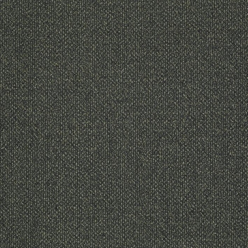 Patcraft Pace Gallop Carpet