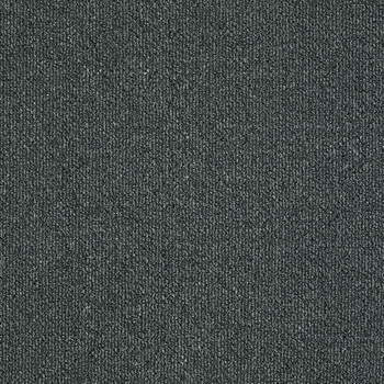 Patcraft Pace March Carpet
