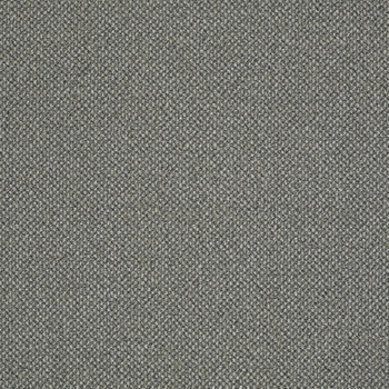 Patcraft Pace Parade Carpet