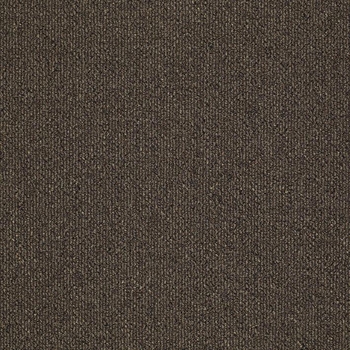 Patcraft Pace Saunter Carpet
