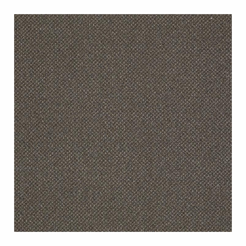 Patcraft Pace Stroll Carpet