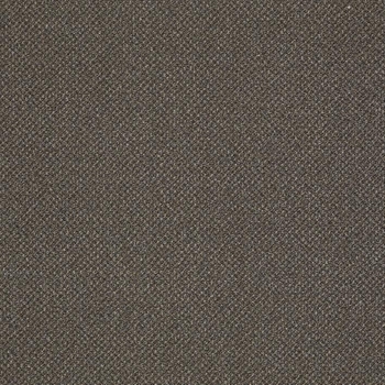 Patcraft Pace Stroll Carpet