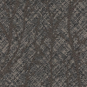 Patcraft Palma Cacao  Broadloom