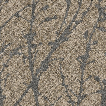 Patcraft Palma Dorado  Broadloom