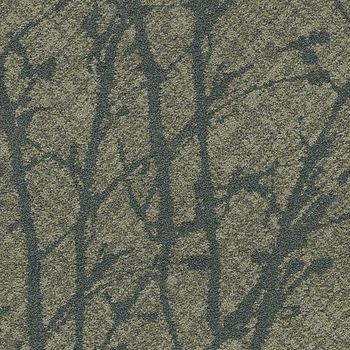 Patcraft Palma Musgo  Broadloom