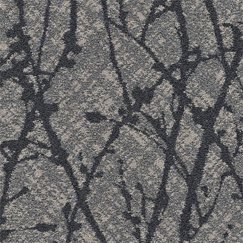 Patcraft Palma Plata  Broadloom